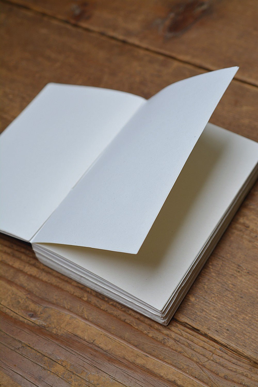 Acid-Free Handbound Book - metaphorracha